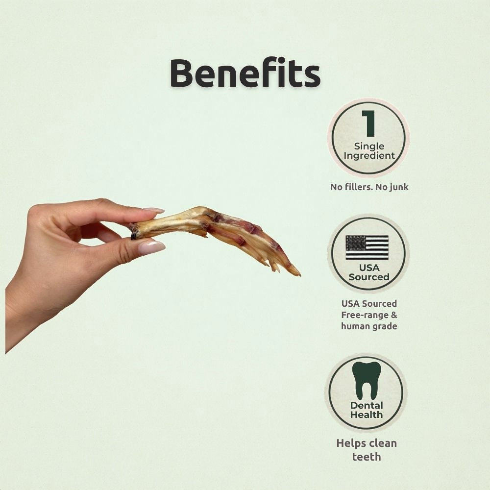 Freezbone Whole Duck Feet Dental Treats for Dogs - Human Grade - Single Ingredient Dog Treats Freezbone