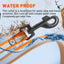 Reflective Biothane Dog Leash with Black Hardware Dog Leashes Dogline