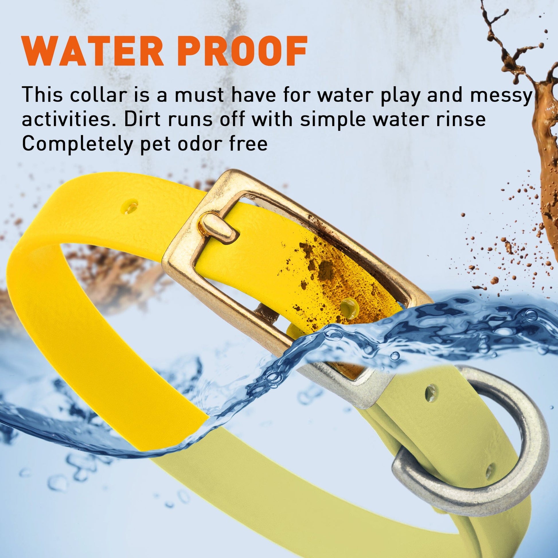 Viper Biothane Waterproof Dog Collar with Brass Hardware Dog Collars Dogline