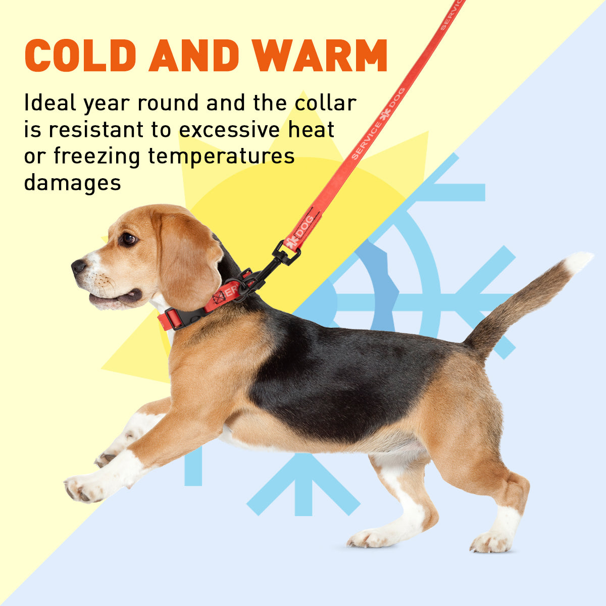 Biothane Service Dog Collar Or Leash Service Dogline