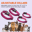 Comfort Microfiber Flat Dog Collar Dog Collars Dogline