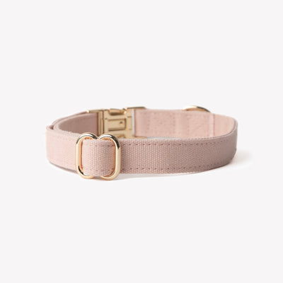 'Baby Pink' - Canvas Dog Collar Canvas Collar FURLOU