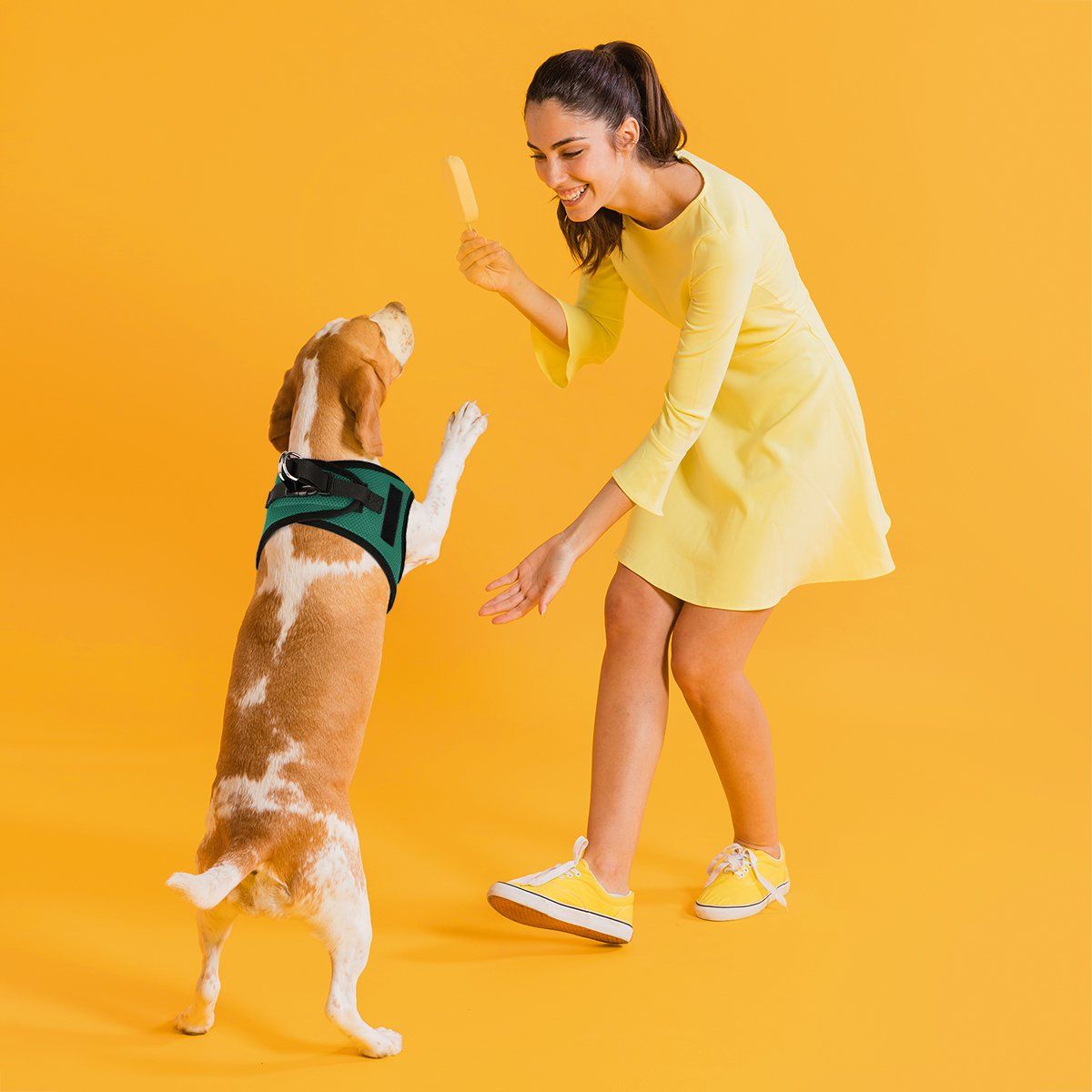 York Mesh Harness + Built-in Hook & Loop Fasteners Dog Harnesses Dogline