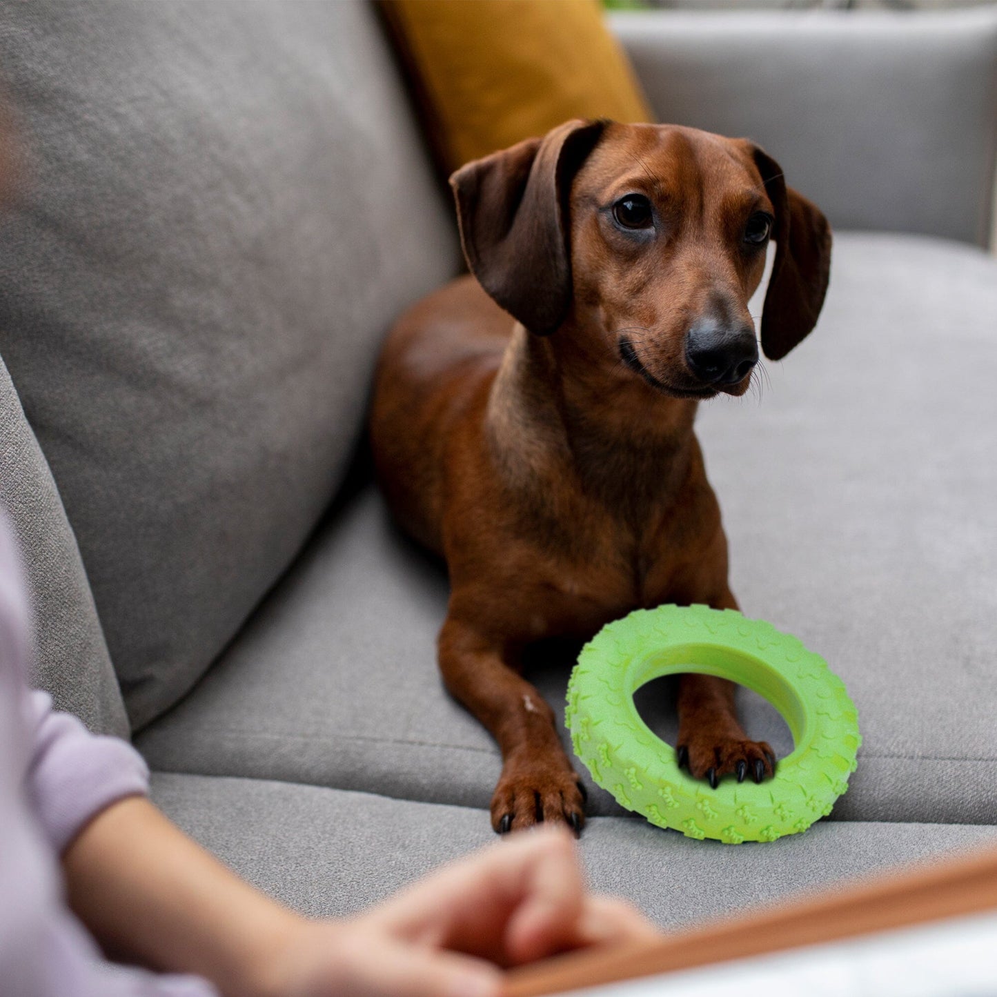 Rubber Tire Toy Dog Toys Dogline