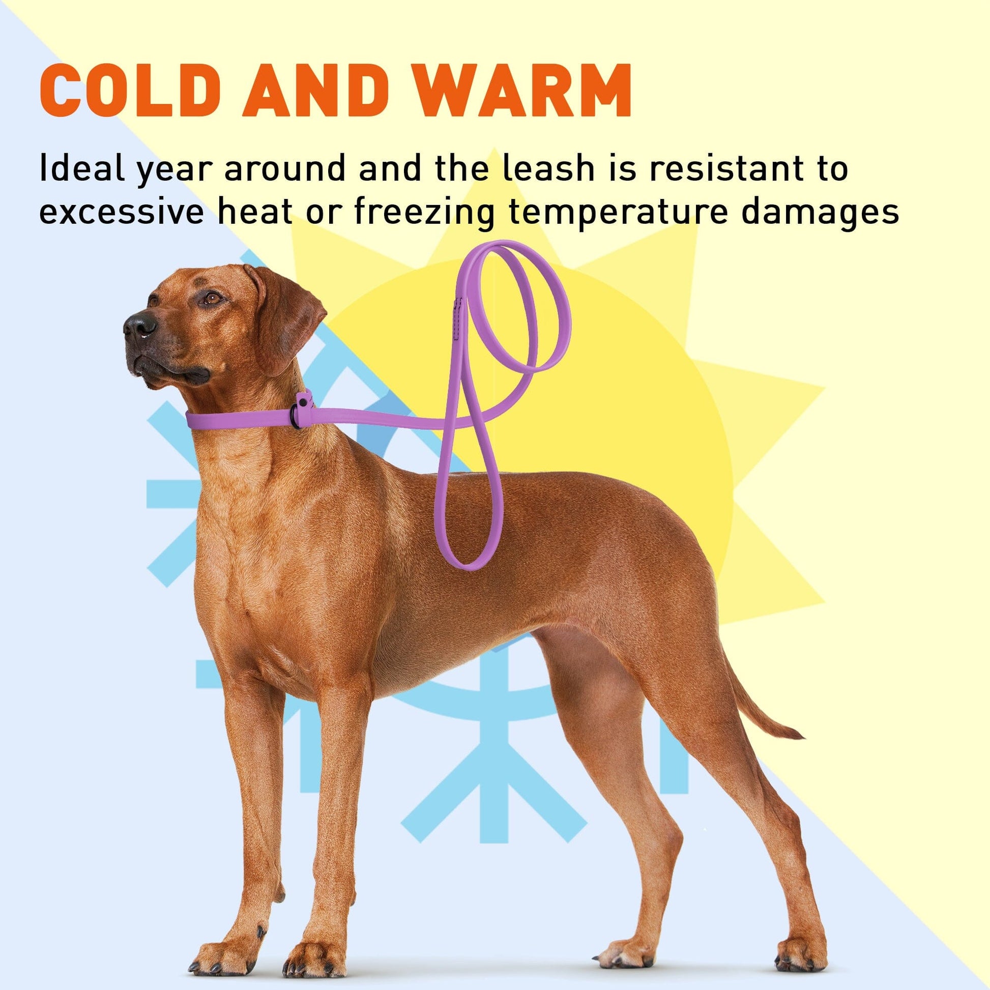 Biothane Slip Lead for Dogs, 5FT and 7FT Dog Leashes Dogline