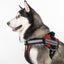 Dogline 3D Rubber Removable Patches for Dog Harness and Vest Dog Patches Dogline