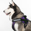 Unimax Multi-Purpose Dog Harness Dog Harnesses Dogline
