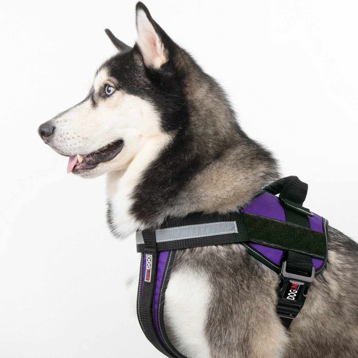 Unimax Multi-Purpose Dog Harness Dog Harnesses Dogline