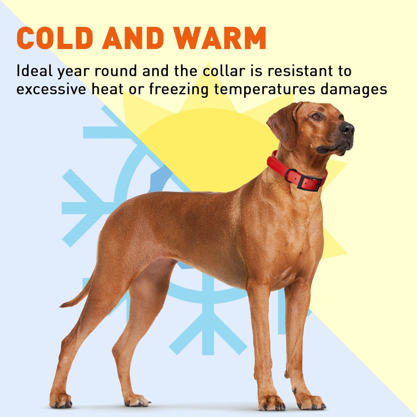 Biothane Waterproof Dog Collar - X-Small (9 to 12 inches) Dog Collars Dogline
