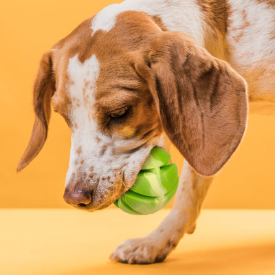 Rubber Spiral Ball Dog Toys Dogline