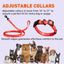 Biothane Service Dog Collar Or Leash Service Dogline