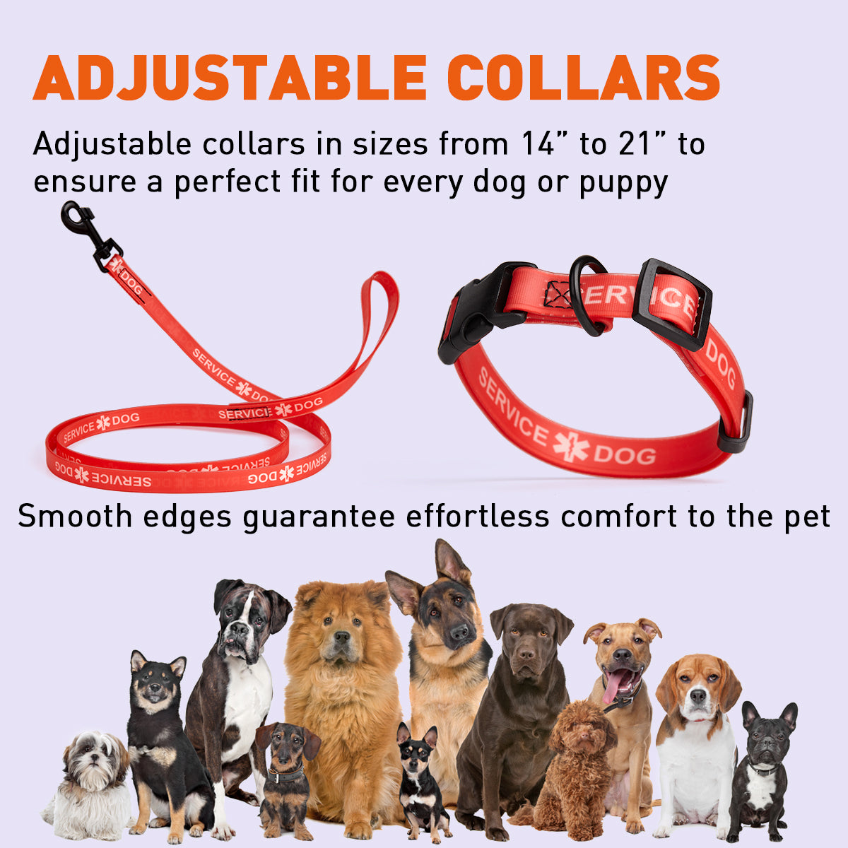 Biothane Service Dog Collar Or Leash Service Dogline