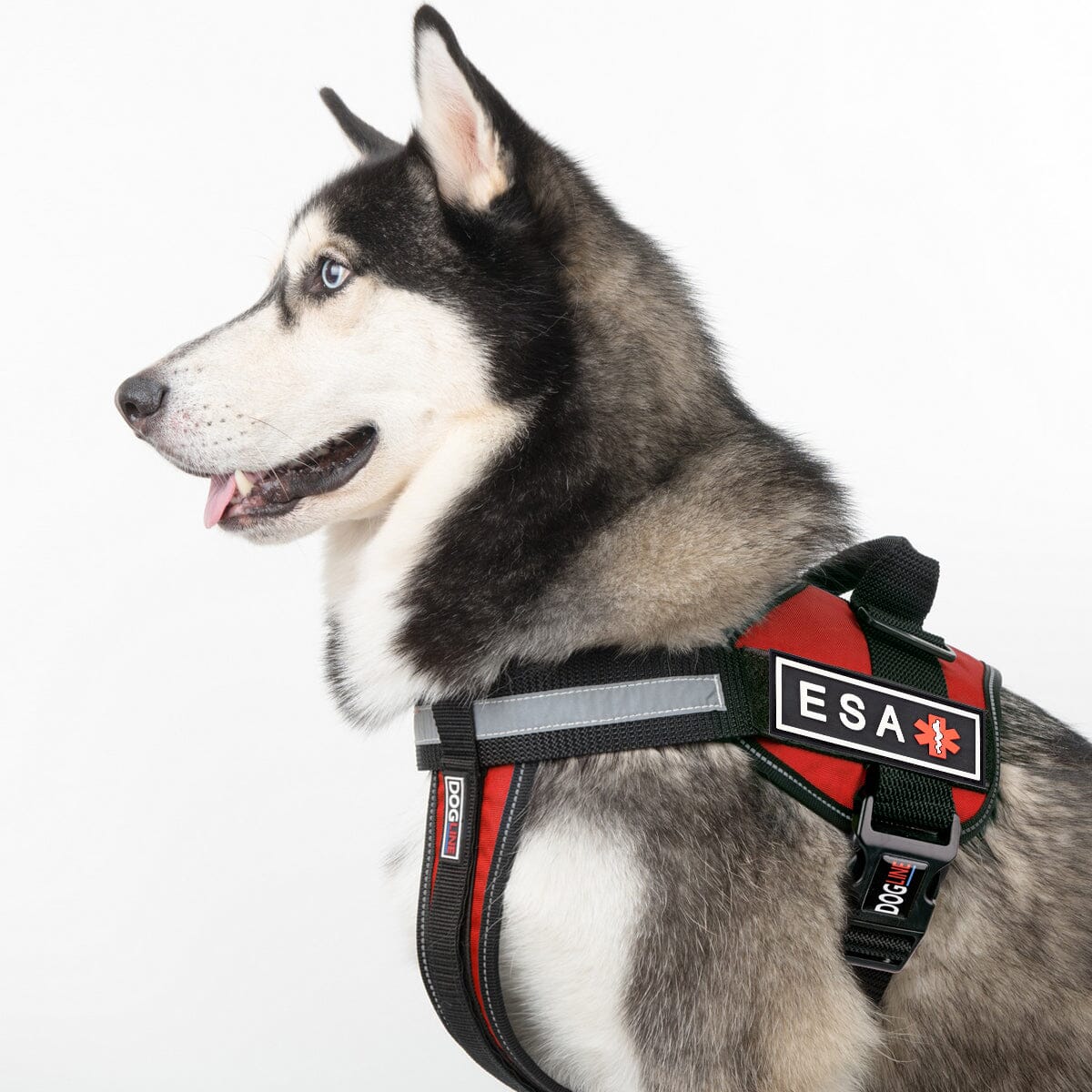 Dogline ESA Dog 3D Rubber Patches Dog Patches Dogline