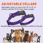 Dogline Biothane Waterproof Dog Collar with Quick Release Buckle Dog Collars Dogline