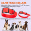 Dogline Biothane Waterproof Dog Collar with Black Hardware - Size M (15 to 18 inches) Dog Collars Dogline