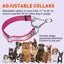 Reflective Biothane Martingale Collar for Dogs Dog Collars Dogline
