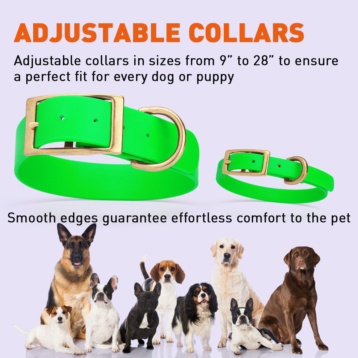 Viper Biothane Waterproof Dog Collar - Brass Hardware - Size M (15 to 18 inches) Dog Collars Dogline