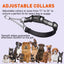 Reflective Biothane Martingale Collar with Quick Release Buckle Dog Collars Dogline