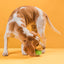 Rubber Euro Ball Dog Toys Dogline