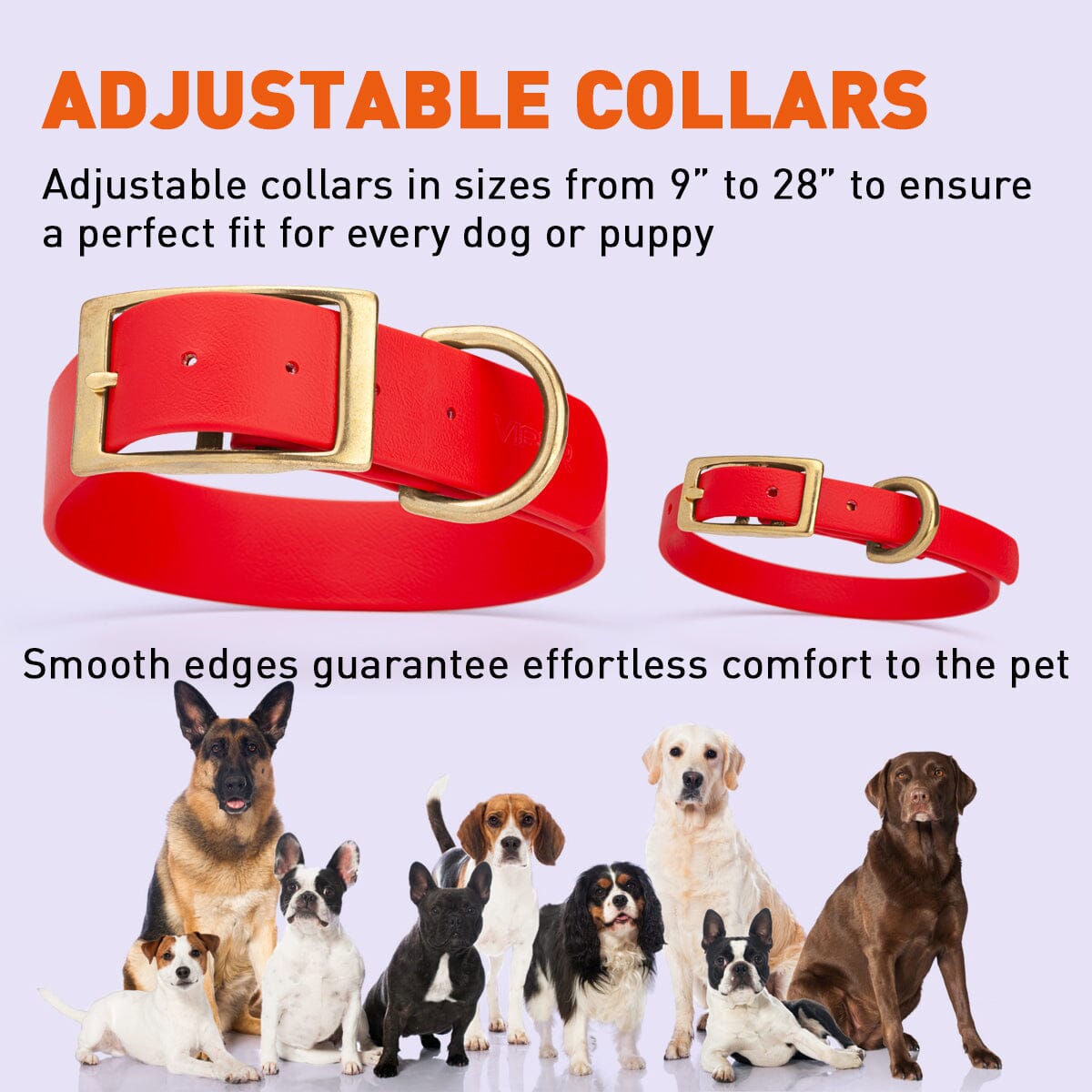 Viper Biothane Waterproof Dog Collar - Brass Hardware - Size XL (22 to 25 inches) Dog Collars Dogline