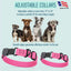 Sprenger BioThane Waterproof Dog Collar with Stainless Steel ClicLock Quick Release Buckle Dog Collars Dogline