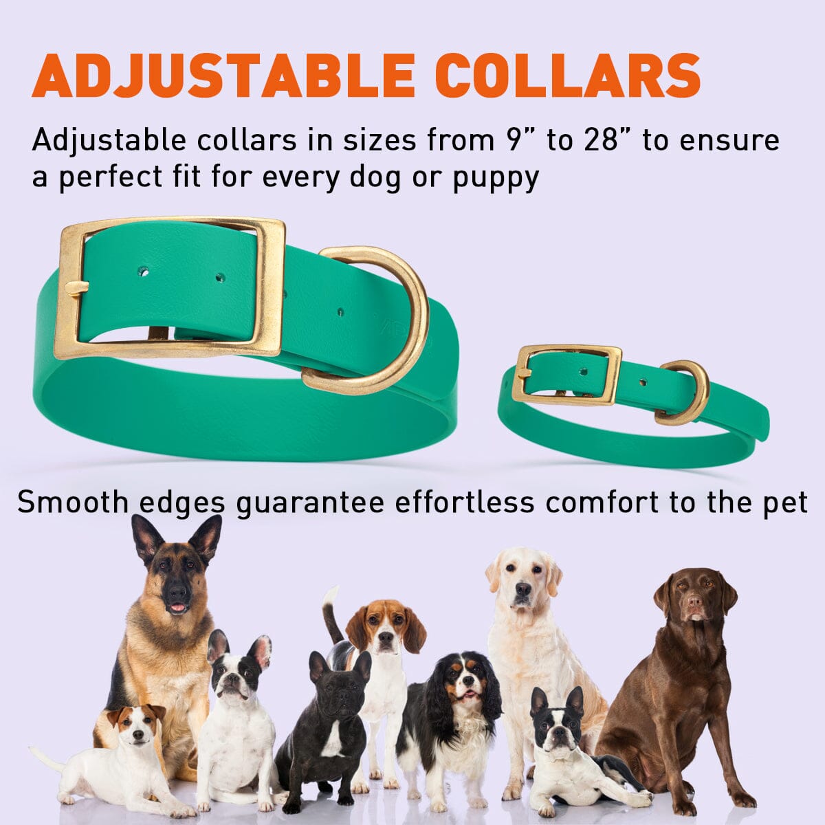 Viper Biothane Waterproof Dog Collar - Brass Hardware - Size L (18 to 22 inches) Dog Collars Dogline