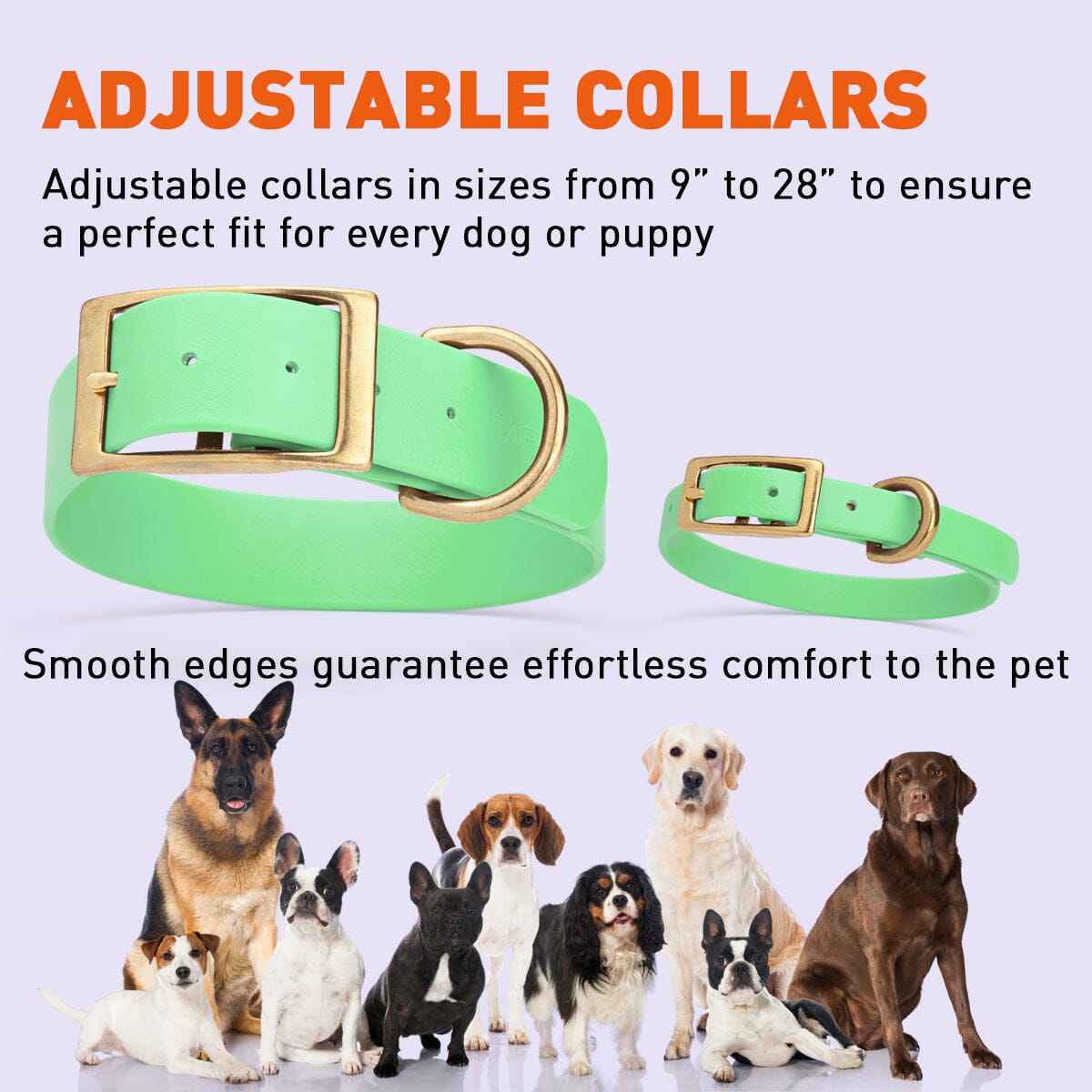 Viper Biothane Waterproof Dog Collar - Brass Hardware - 1.5in Wide, Size XXL (24 to 28 inches) Dog Collars Dogline