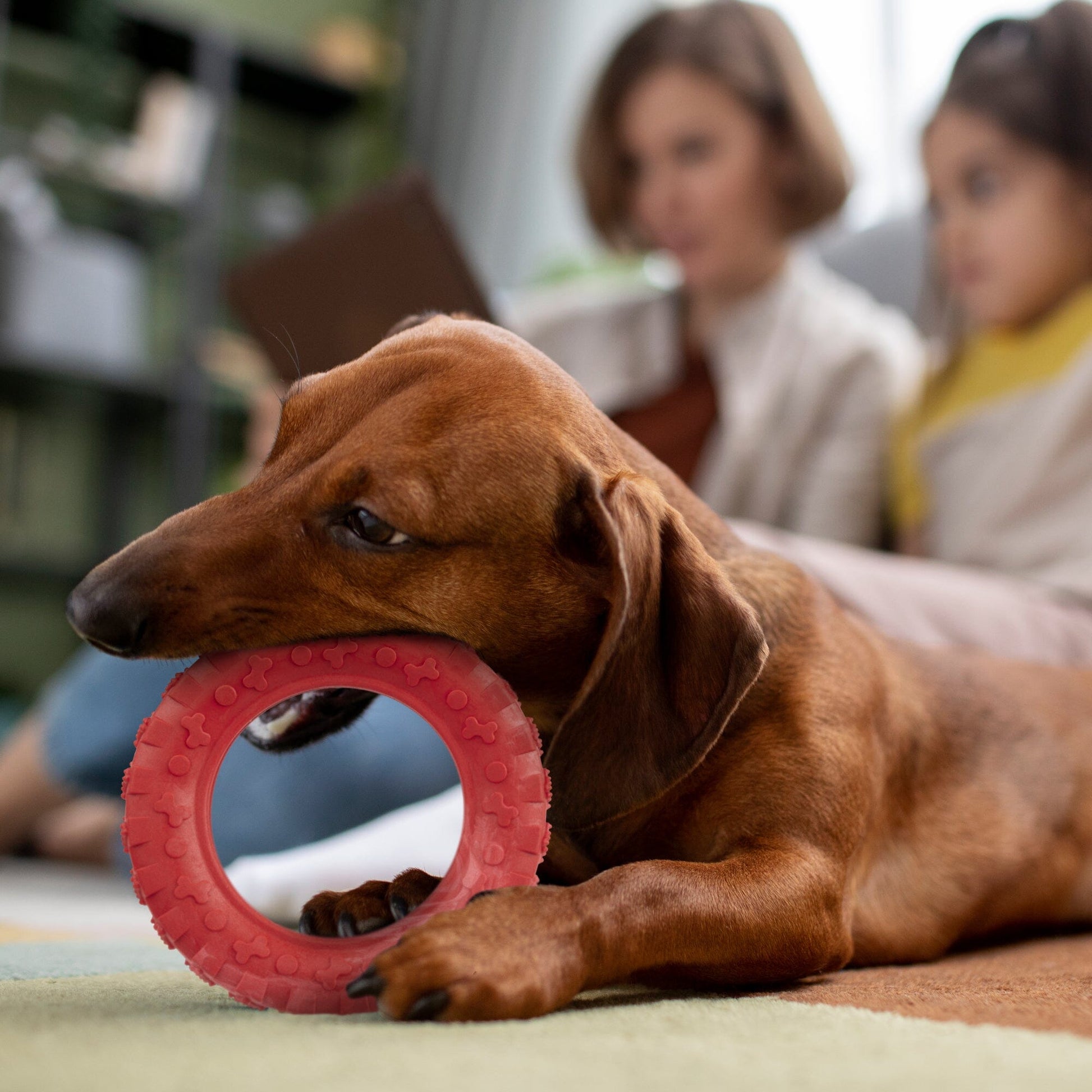 Rubber Tire Toy Dog Toys Dogline