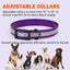Biothane Translucent Reflective Dog Collar Dog Collars Dogline