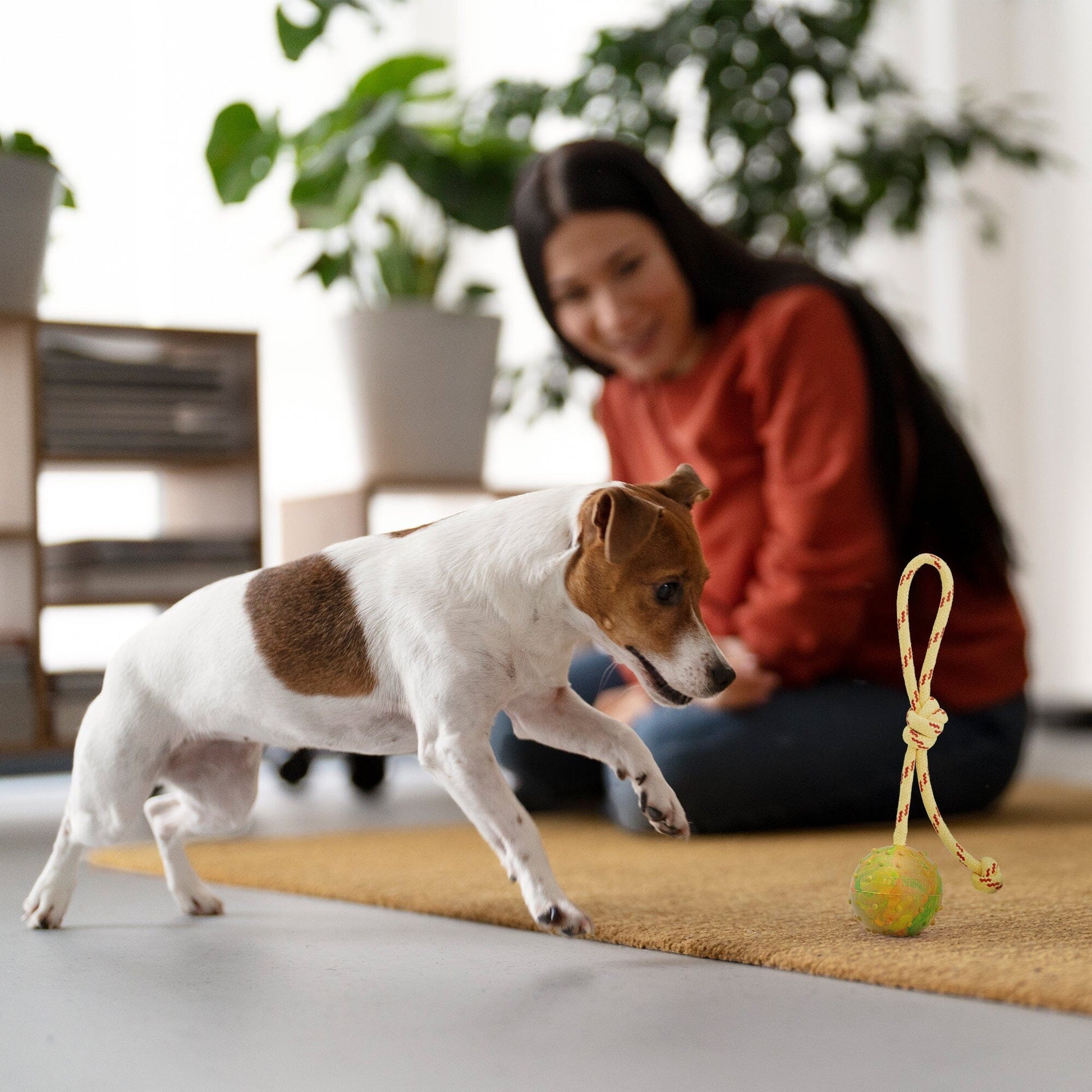 FDT Rubber Dog Ball on Rope, Medium - Diameter 2.3" (6 cm) Dog Toys Dogline