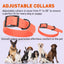 Biothane Waterproof Dog Collar - X-Small (9 to 12 inches) Dog Collars Dogline