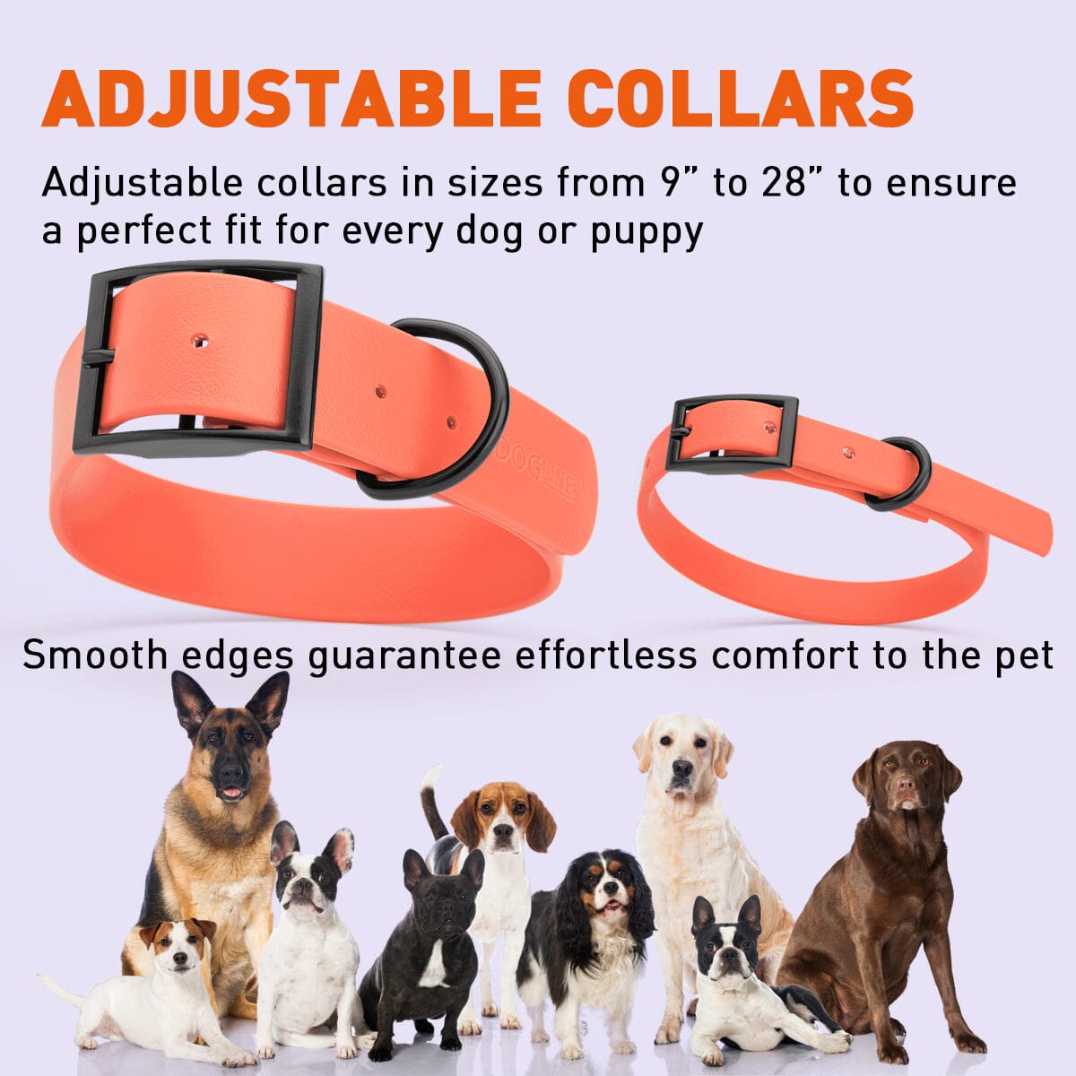 Biothane Waterproof Dog Collar - X-Small (9 to 12 inches) Dog Collars Dogline