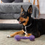 Rubber Dumbbell Toy Dog Toys Dogline