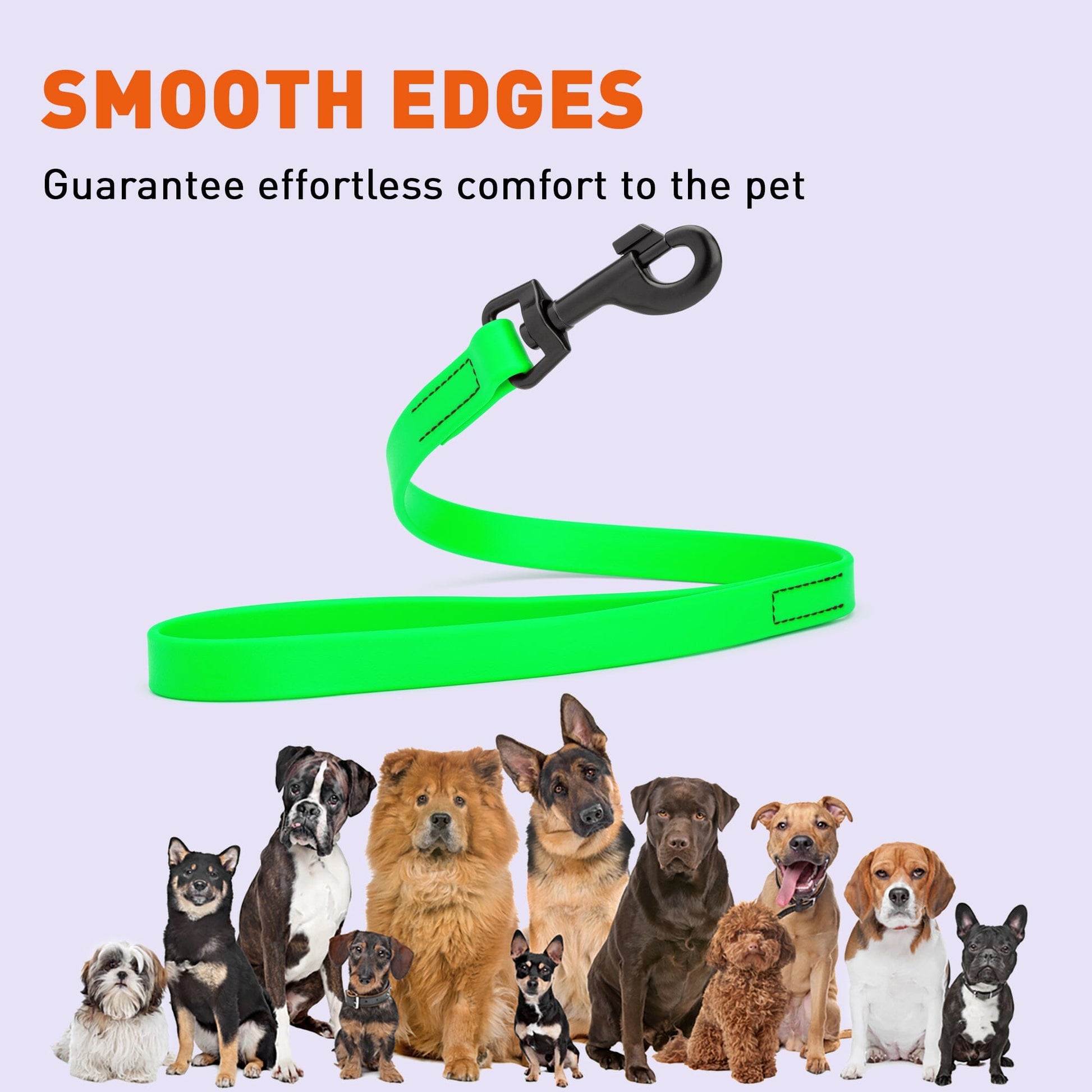 Biothane Waterproof Traffic Lead for Dogs, 2 ft Dog Leashes Dogline