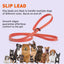 Biothane Slip Lead for Dogs, 5FT and 7FT Dog Leashes Dogline