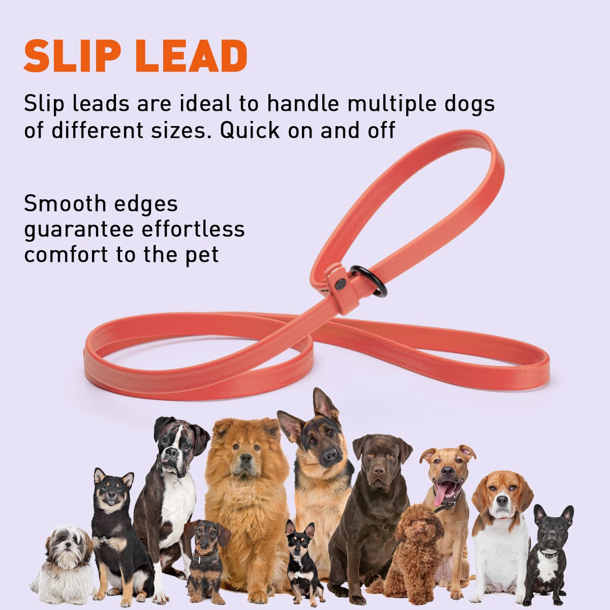 Biothane Slip Lead for Dogs, 5FT and 7FT Dog Leashes Dogline