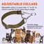 Biothane Adjustable Martingale Collar for Dogs Dog Collars Dogline