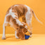 Rubber Bur Ball Dog Toys Dogline