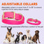 Viper Biothane Waterproof Dog Collar with Brass Hardware Dog Collars Dogline