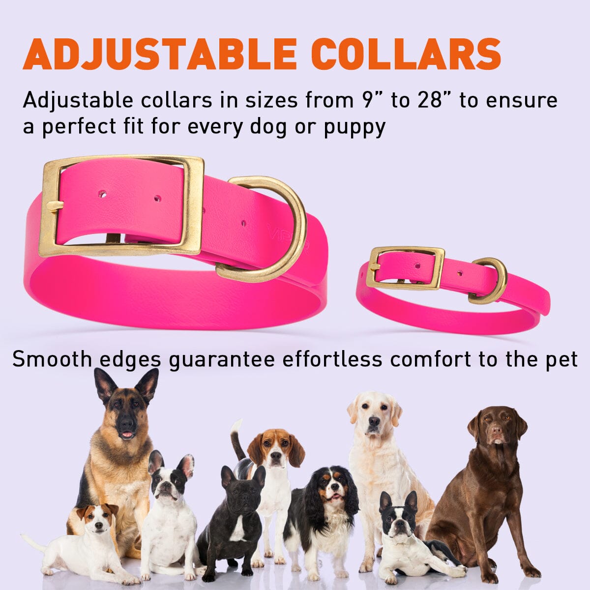 Viper Biothane Waterproof Dog Collar with Brass Hardware Dog Collars Dogline