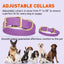 Viper Biothane Waterproof Dog Collar - Brass Hardware - 1.5in Wide, Size XL (20 to 24 inches) Dog Collars Dogline