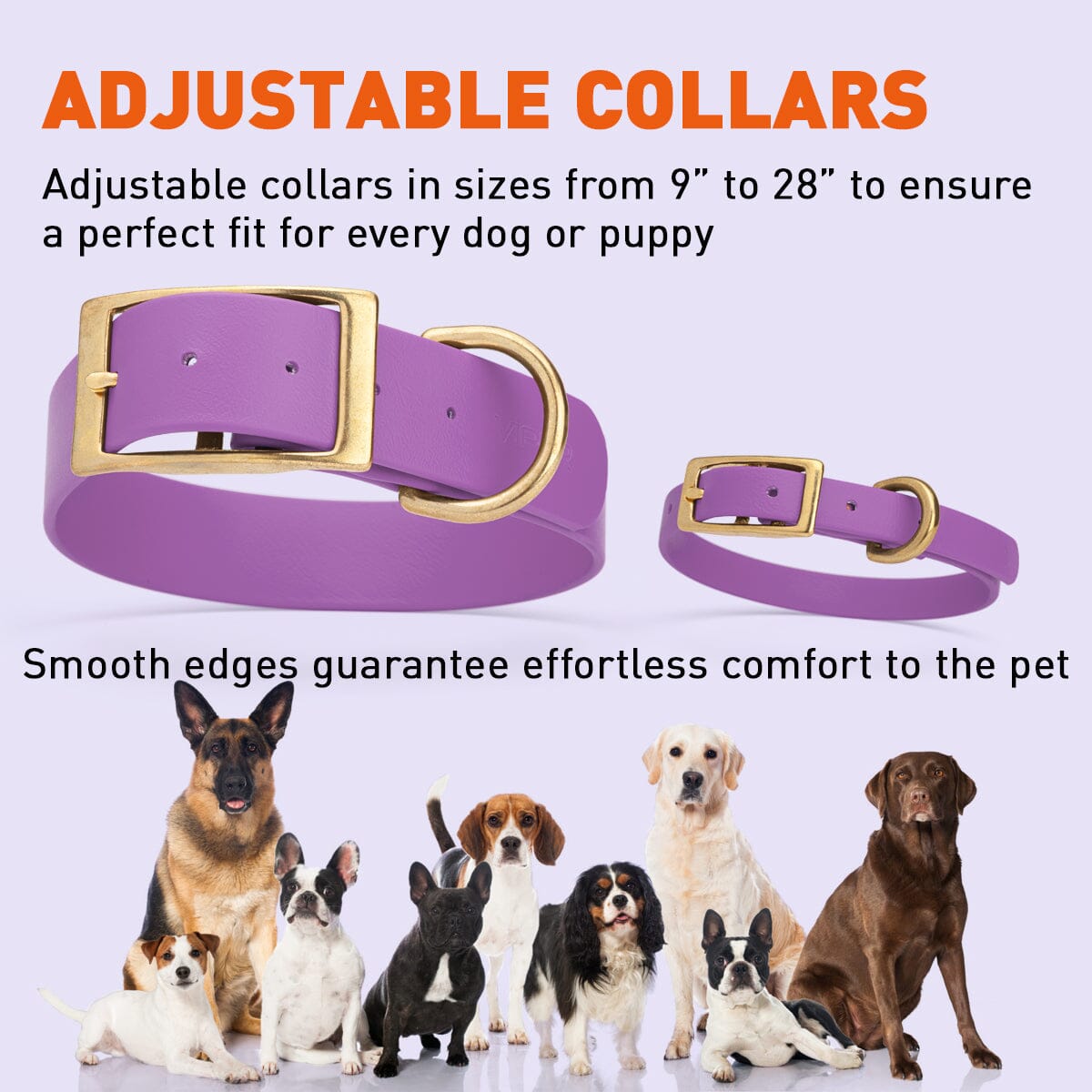 Viper Biothane Waterproof Dog Collar - Brass Hardware - 1.5in Wide, Size XL (20 to 24 inches) Dog Collars Dogline