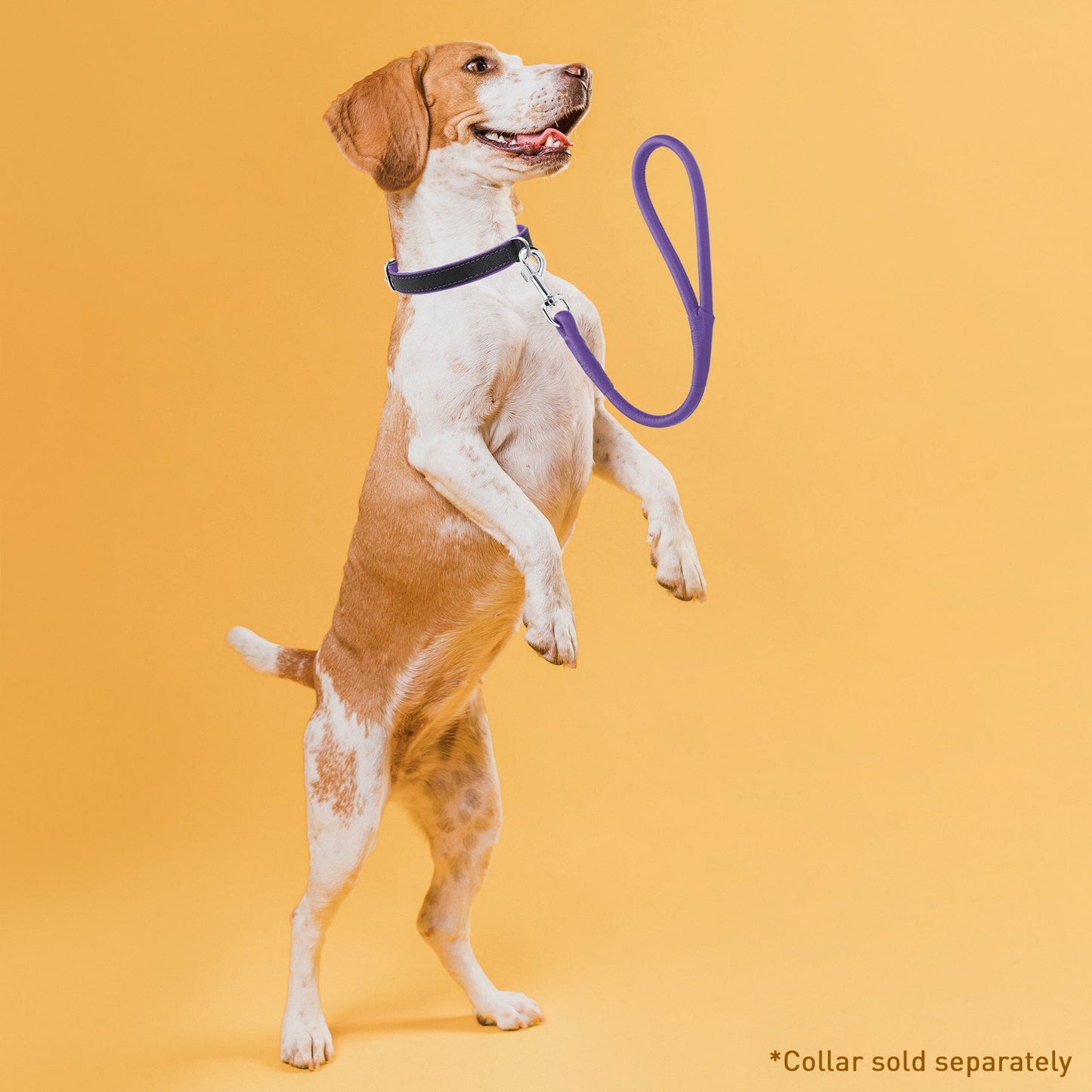 Soft Leather Round Traffic Lead Dog Leashes Dogline
