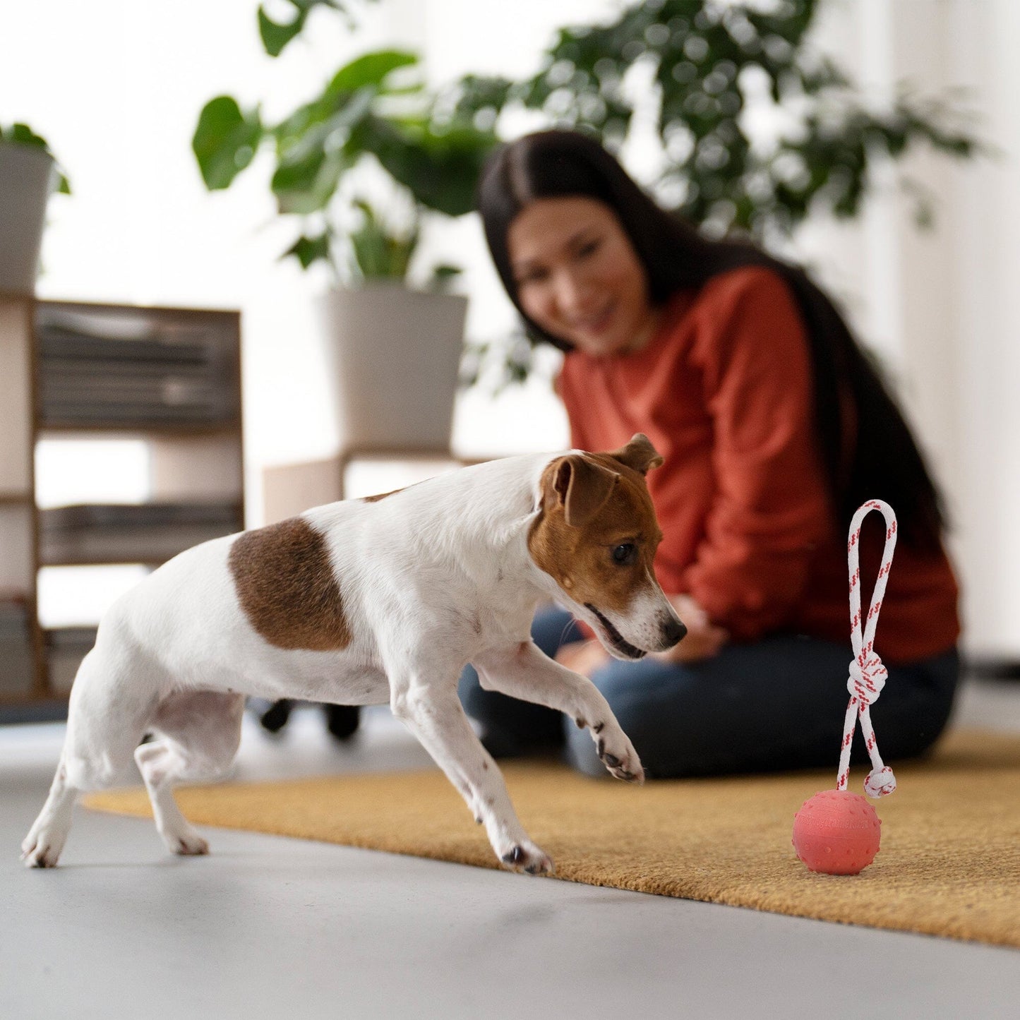 FDT Solid Rubber Dog Ball - Water Toy with Rope Dog Toys Dogline