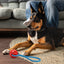 Rubber Spiral Ball with Biothane Handle Dog Toys Dogline