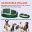 Viper Biothane Waterproof Dog Collar - Brass Hardware - Size XS (9 to 12 inches) Dog Collars Dogline