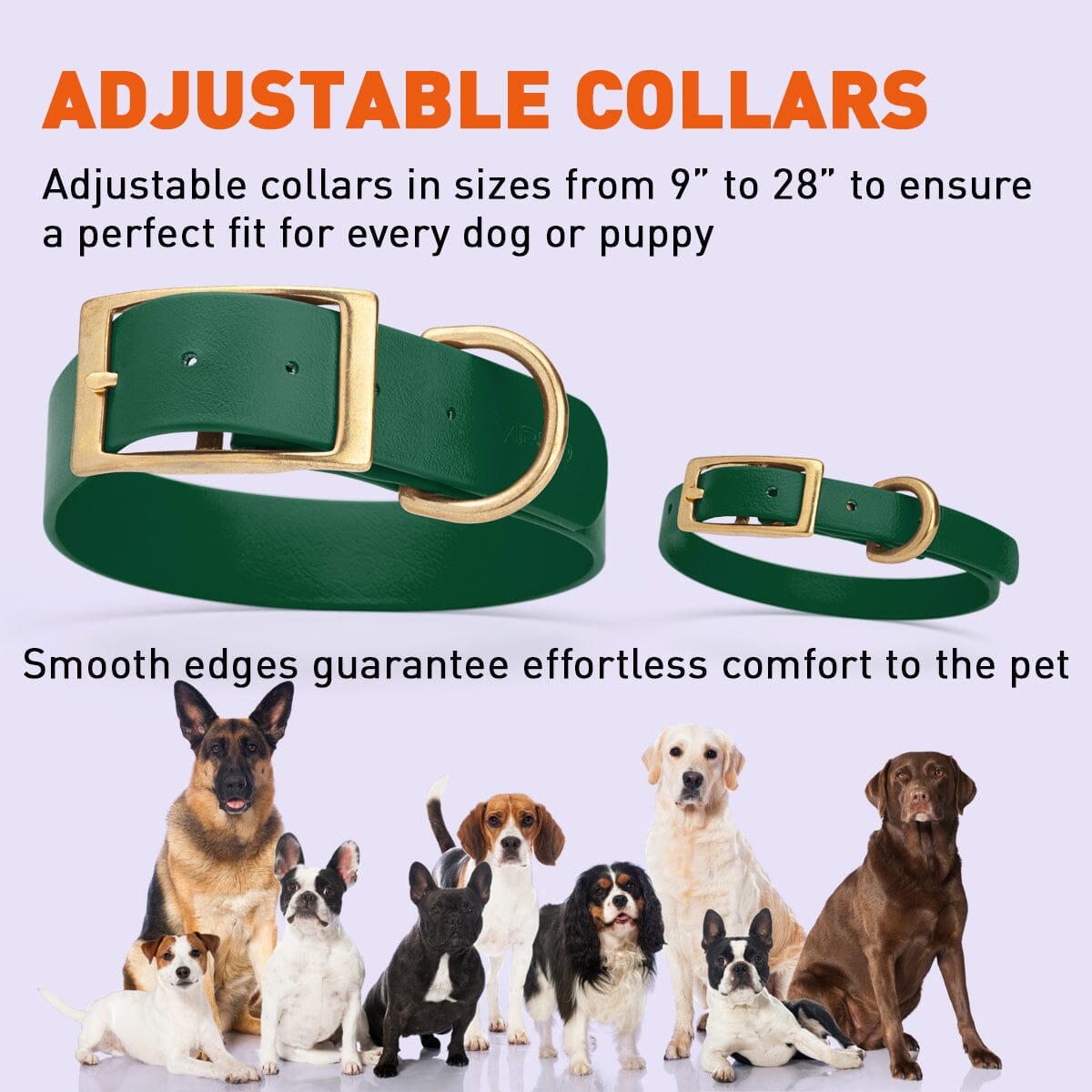 Viper Biothane Waterproof Dog Collar - Brass Hardware - Size XS (9 to 12 inches) Dog Collars Dogline