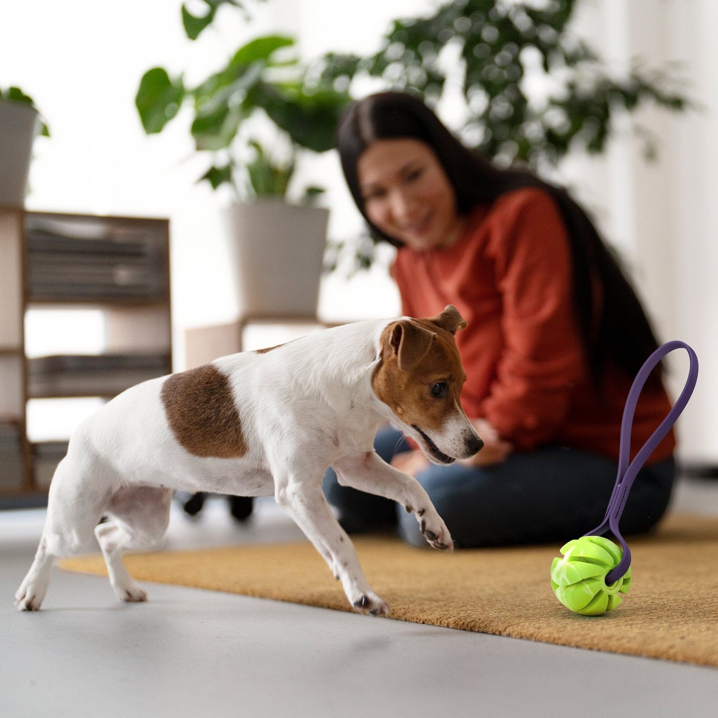 Rubber Spiral Ball with Biothane Handle Dog Toys Dogline