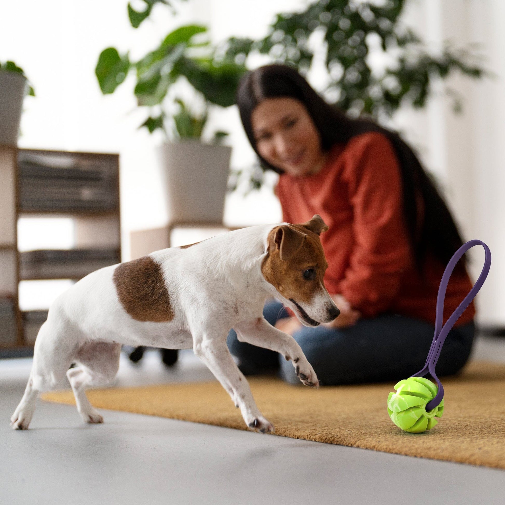 Rubber Spiral Ball with Biothane Handle Dog Toys Dogline