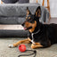 Rubber Euro Ball with Rope Dog Toys Dogline